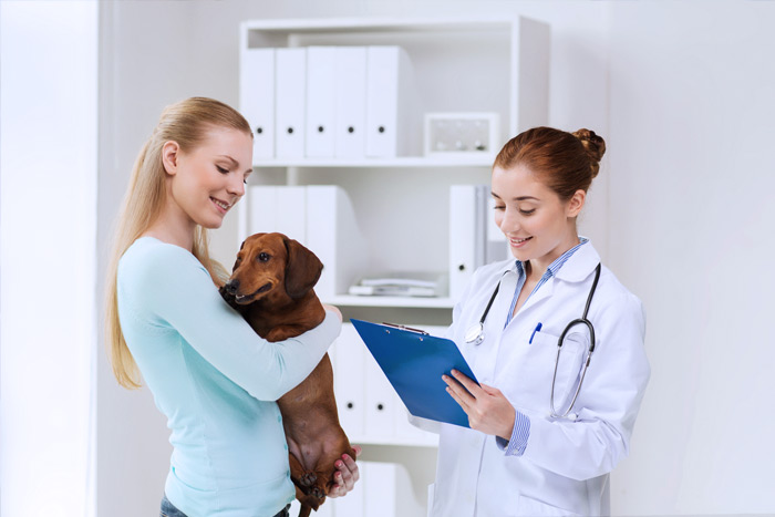 ЭЦП для оформления ветеринарных сертификатов (ГИС Меркурий) в Миллерове